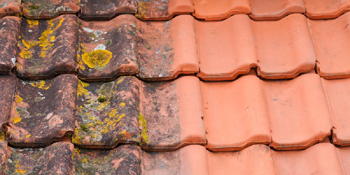 Roofers & builders in New Malden and Surrey. Roofers & builders in New Malden and Surrey.